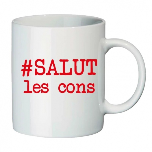 SALUT LES CONS
