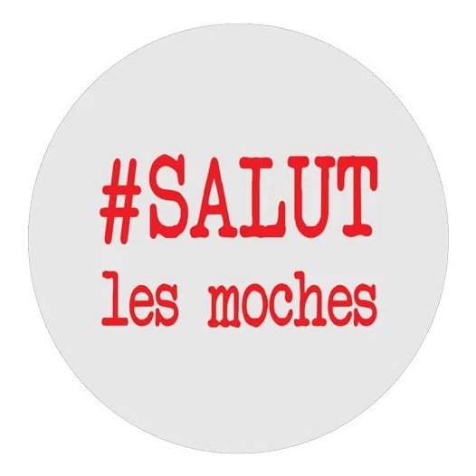 SALUT LES MOCHES