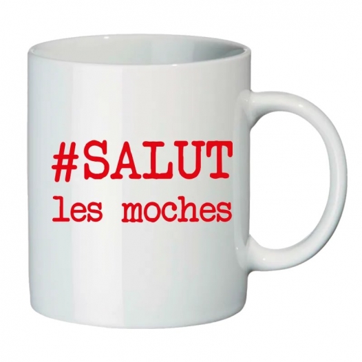 SALUT MES MOCHES