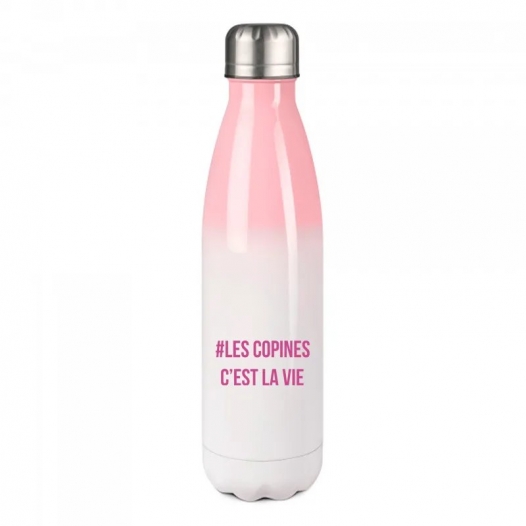 LES COPINES C'EST LA VIE
