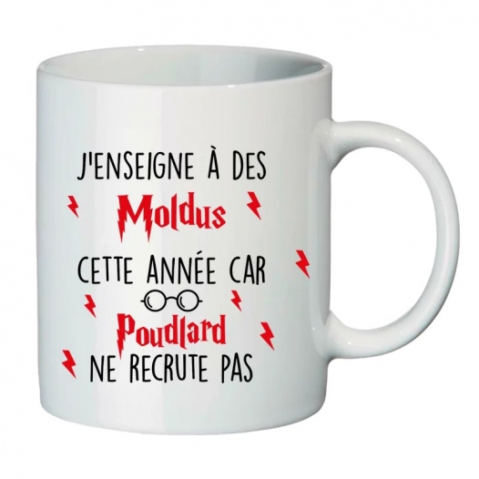 J'ENSEIGNE A DES MOLDUS